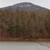 Yonah Preserve