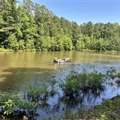 Acme farms - 86 Acres w/Creek & Pond