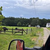 The Adams Family Farm