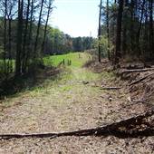 Chapman Property - Ellijay