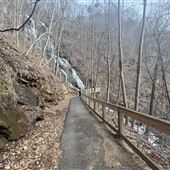 Amicalola Falls Trail (Winter)