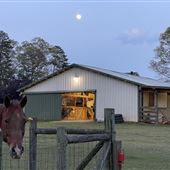 American Dream Farm