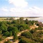 Sapelo Island