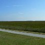 St. Simons Causeway