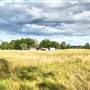 Chris Ozment Farm / Photography Studio