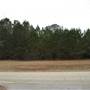 Wooded nonresidential property in Griffin (Spalding Co)