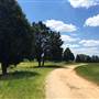 Cedar Hill Pastures and Horse Farm