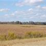 Webb Farm