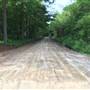 LeConte-Woodmanston Plantation and Botanical Garden National Historic Site