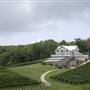 Frogtown Cellars