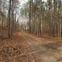 Franklin Hwy Property