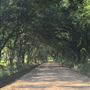 Holton Road