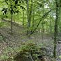 The Rock Farm