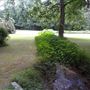 7 Acres in ATL City Limits