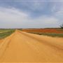 Agriculture/Dirt Roads Near Montezuma