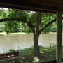 Conner Lake, Secluded in Palmetto