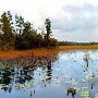 Okefenokee National Wildlife Refuge