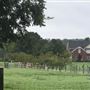 Miller Mini Farm and Ranch