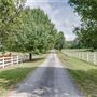 Horse Barn and Woodlands