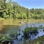 Acme farms - 86 Acres w/Creek & Pond