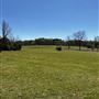 Fayetteville 80 Acre Farm