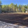 13+ acres, mostly wooded with acre clearing