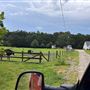 The Adams Family Farm