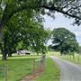 80 Acre Working Ranch w/ Beautiful Views of the Mountains