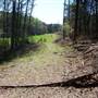 Chapman Property - Ellijay