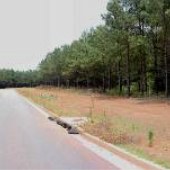 McDonough Land