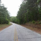 Palmetto Road