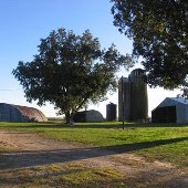 Sol Yoder Farm