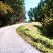 Betty Creek Road
