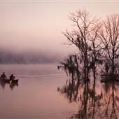 Altamaha River