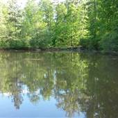 Hammock Lake