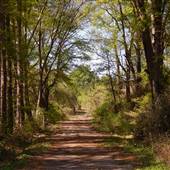 City of Austell Parks