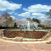 City Hall Fountain