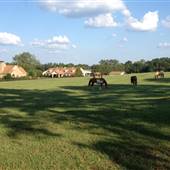 Dabney Farm