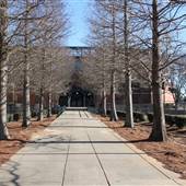 South Commons