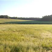 Crockett Creek Crossing, privately-owned, single family farm w/ barn