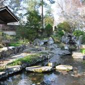 Japanese Garden