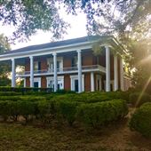 Valley View Plantation