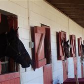 Lawrence L. Bennett Harness Horse Training Facility
