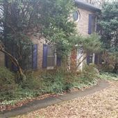 Overgrown Suburban House