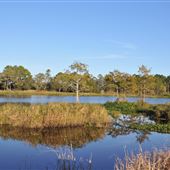 Lake Lindsay Grace