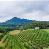 Currahee Vineyards