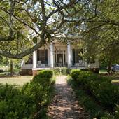 Kinloch Plantation
