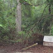 10 Acres Wooded in Stockbridge (Rockdale County side)