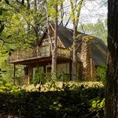 Mountain property w/creek, cabin
