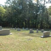 Trion Cemeteries - Allgood